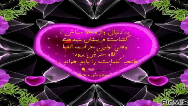  تو مال منیا خوشگل منیا از ساواش